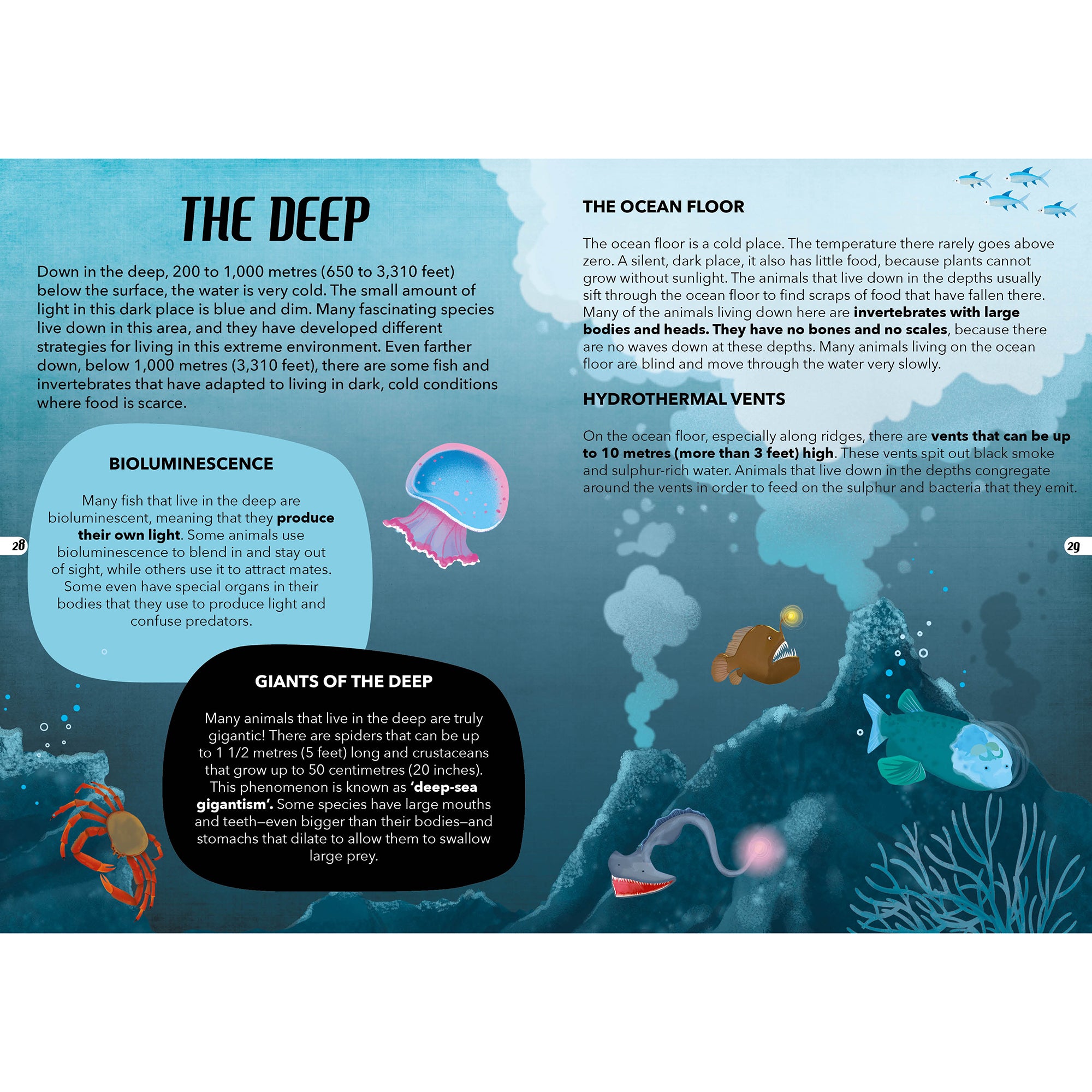 TLE: The Sea Interactive Storybook - Image 5