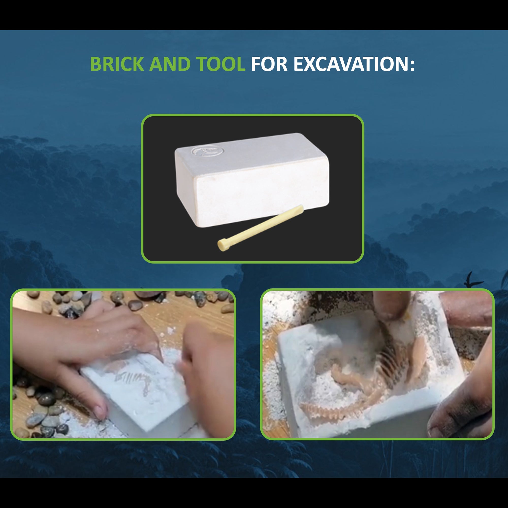 Dino Explorers: AR Dinosaur XL & Brick Combo - 10" Spinosaurus Sound Figure - Image 5