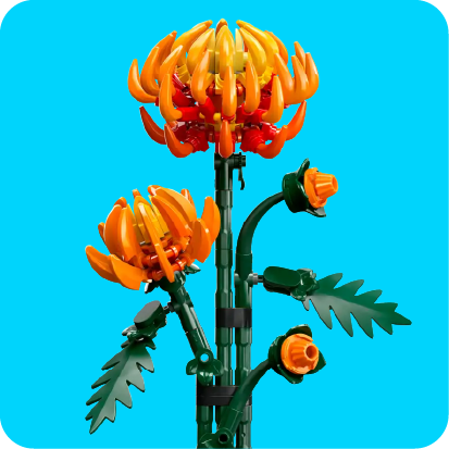 Building Sets And Blocks